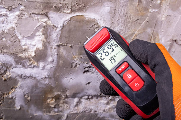 Best Fast Mold Removal  in Dunlap, IN